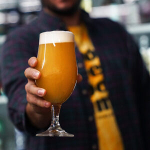 Ipa 0.3